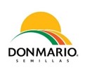 DonMArio